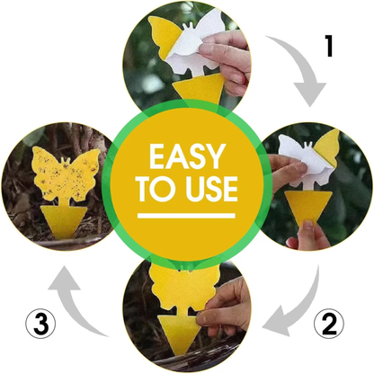 Sproutly Gnat Traps