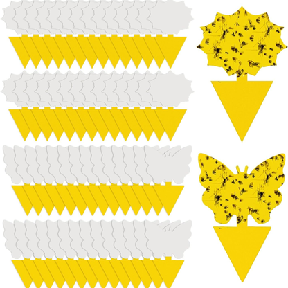 Sproutly Gnat Traps