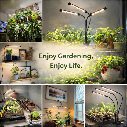 Seed Starting Grow Lights — Full Spectrum, 2 Pack