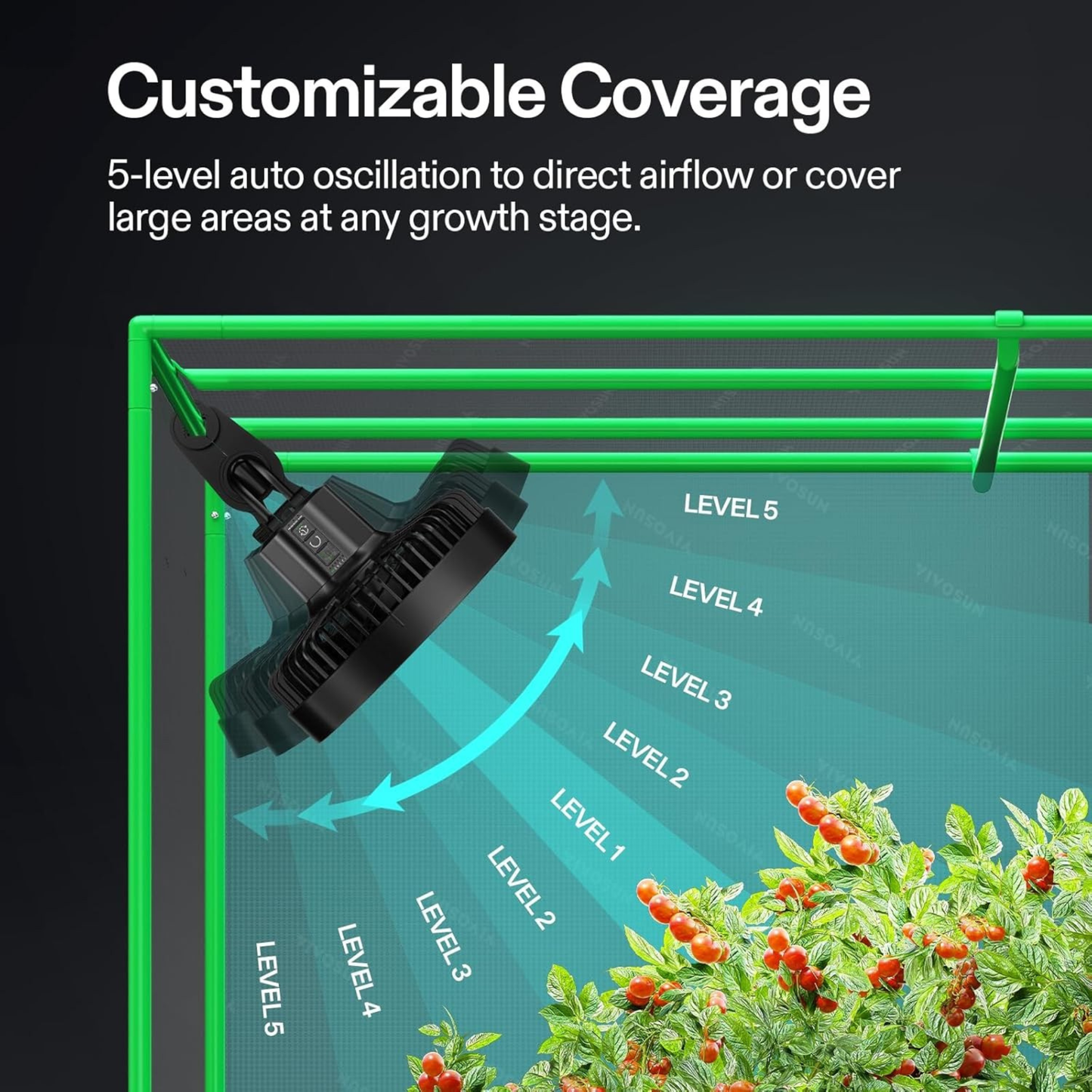 Sproutly Stem Strengthener Fan
