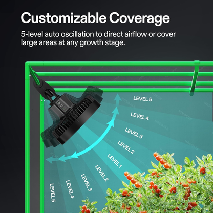 Sproutly Stem Strengthener Fan