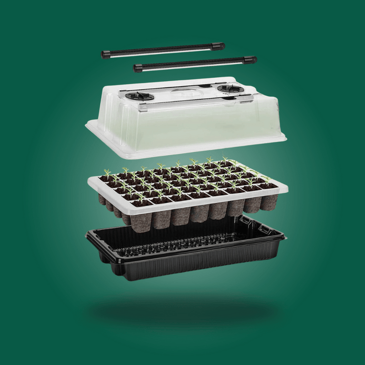 <h2>Guaranteed Perfect Seedlings Every Time</h2>