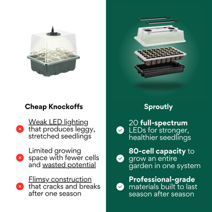 Seed Starter Tray Kit