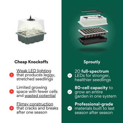 The Foolproof System